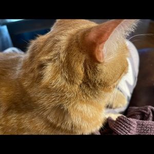 Meet your Posher, Amy